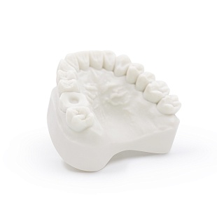 Harz Labs Dental Model Bone Resin