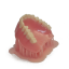 HARZ Labs Dental Pink Resin